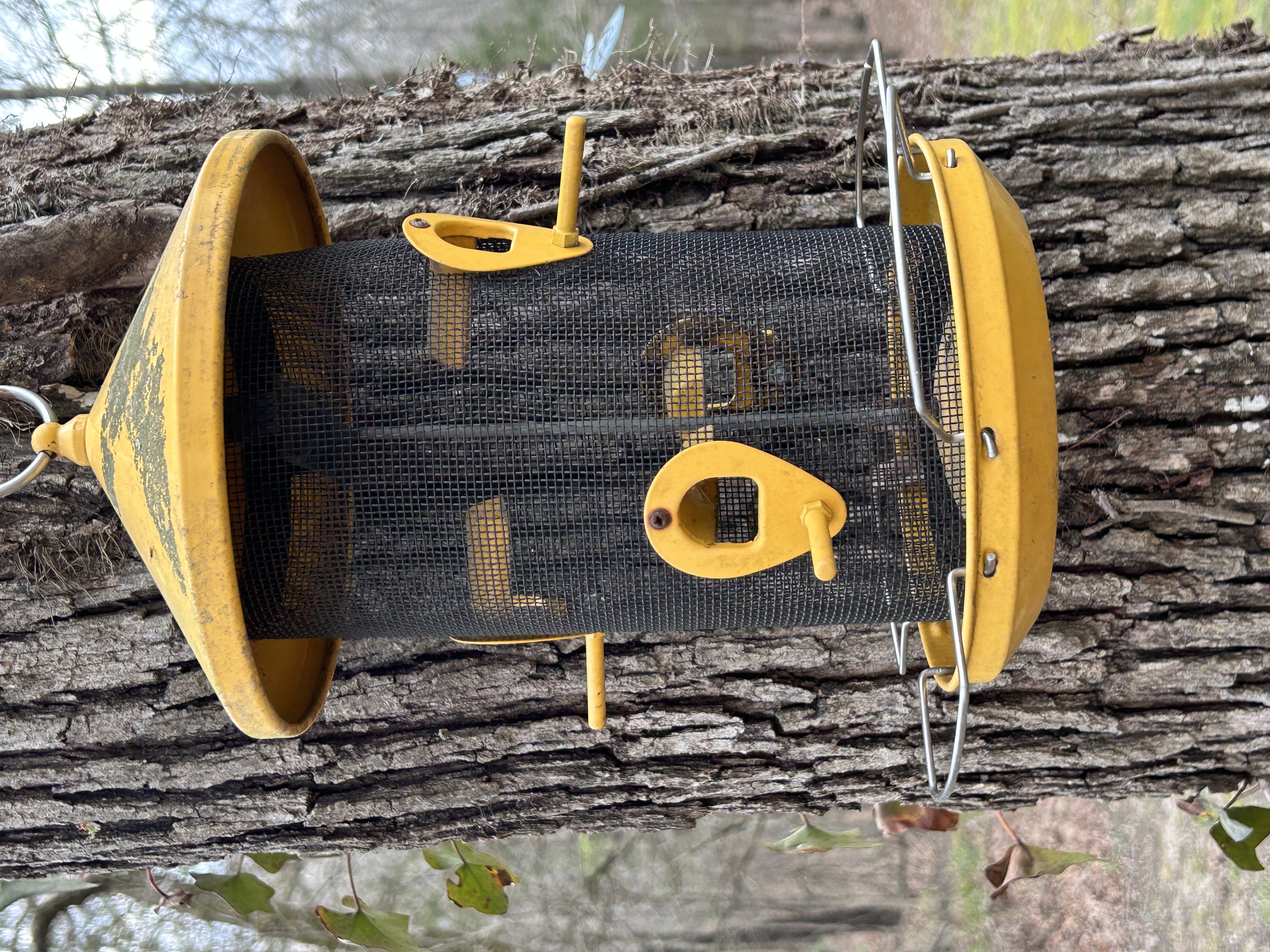 Real Estate & Personal Property Auction Image