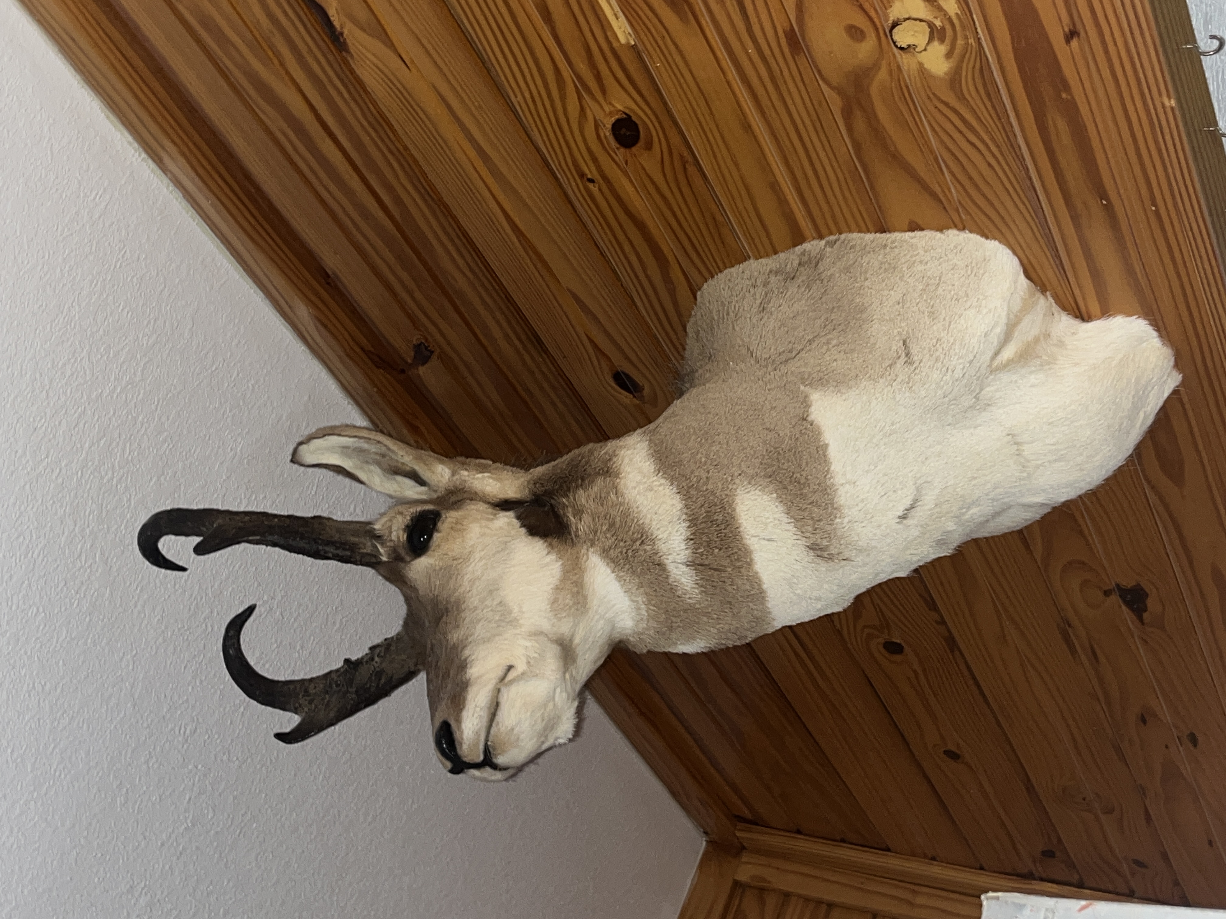 Varvil Estate Auction Image