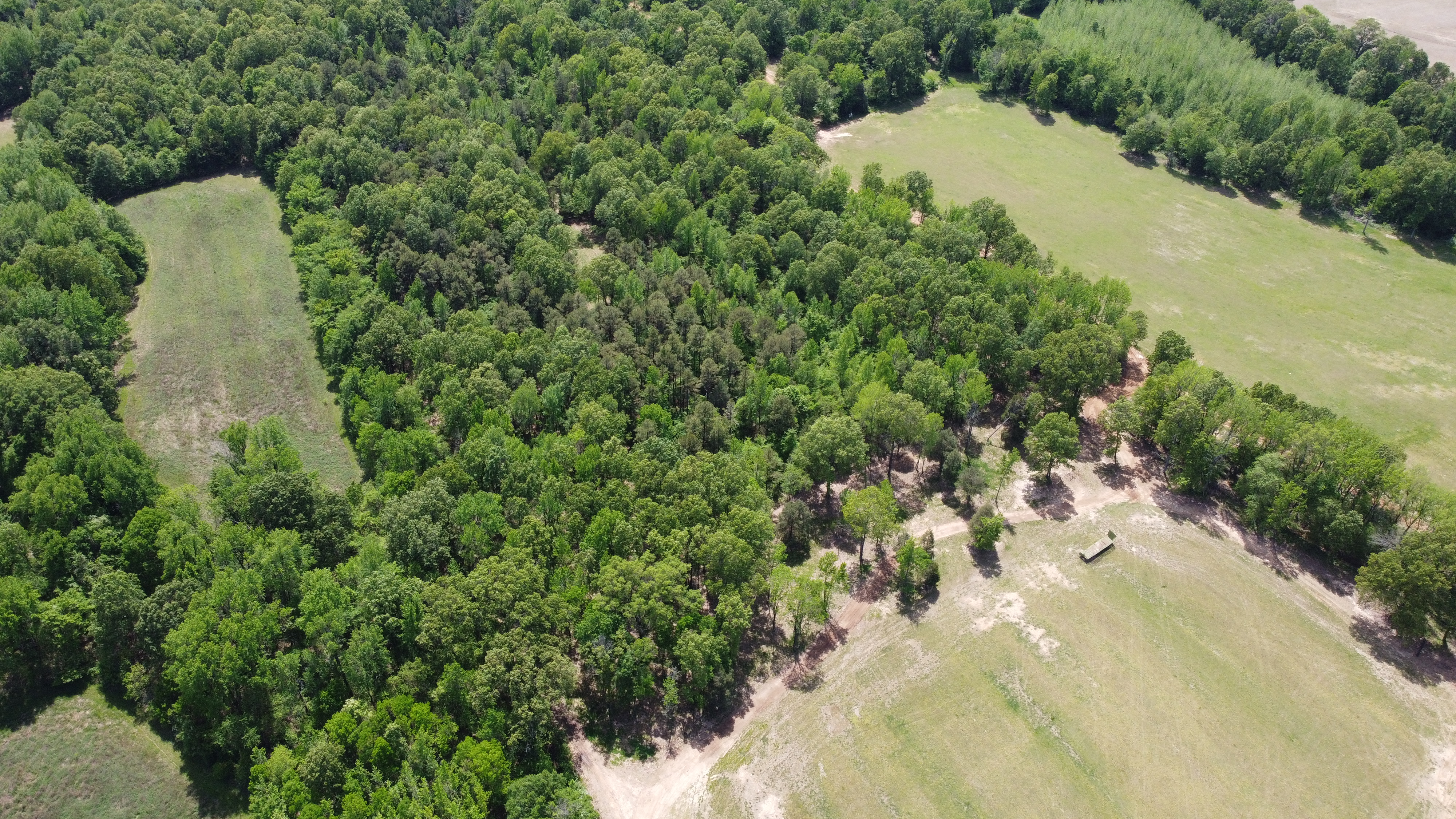 Pasture, Hay, Timber, Row Crop, Hunting Land Auction Image