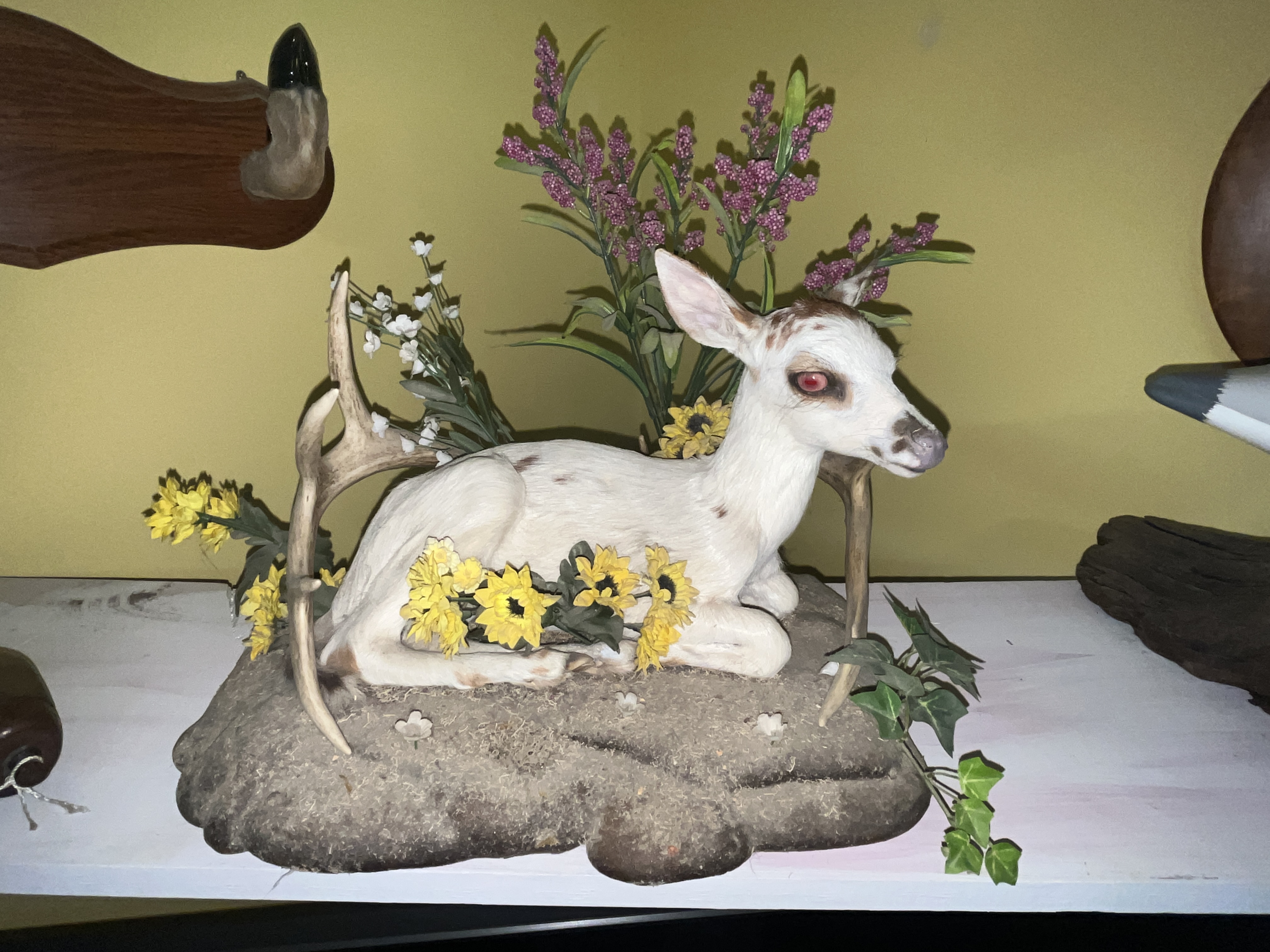 Real Estate & Personal Property Auction - McClaran Estate Image