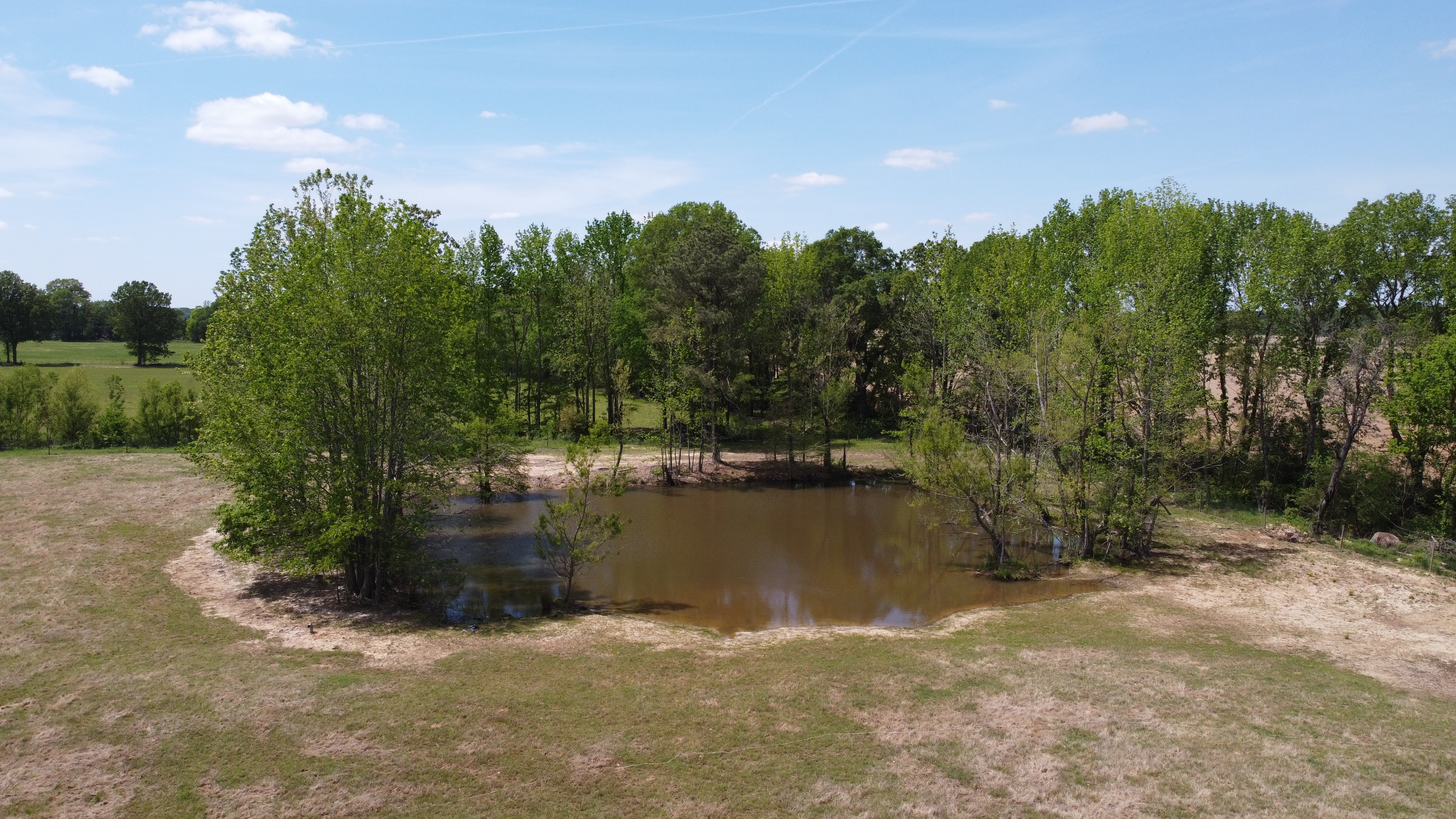 Pasture, Hay, Timber, Row Crop, Hunting Land Auction Image