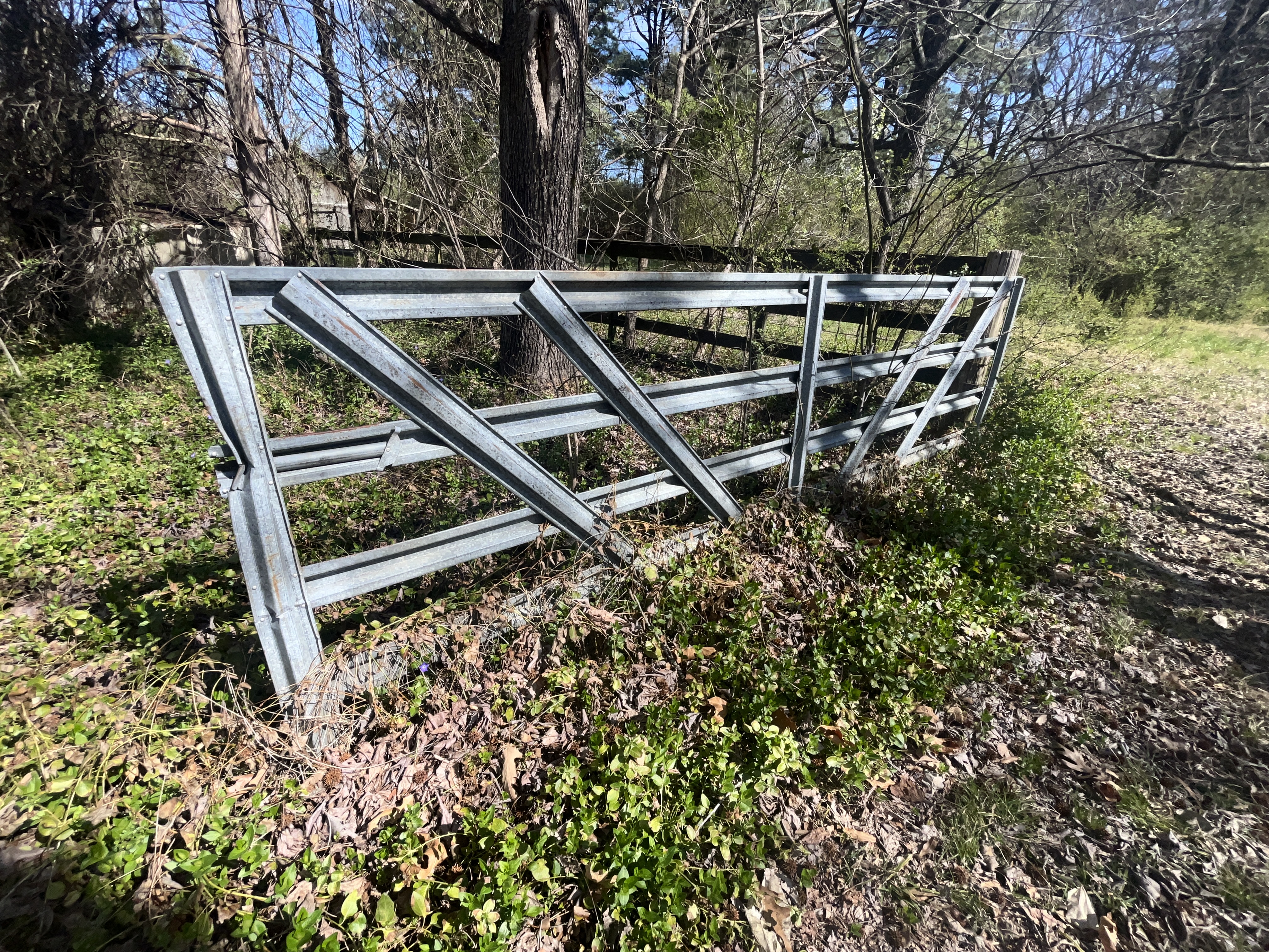 Estate of Betty Shaw Image