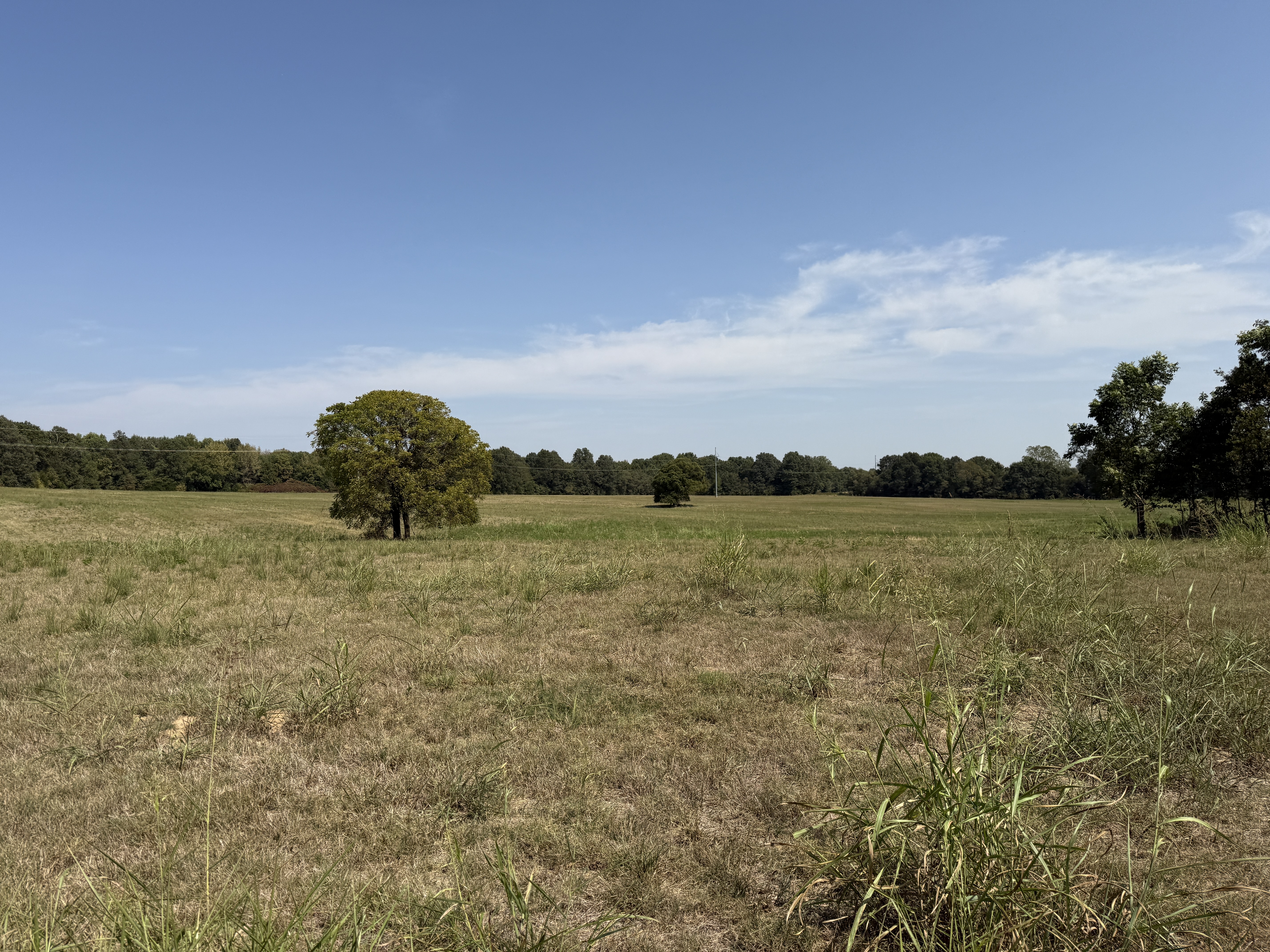 Real Estate & Personal Property Auction Image