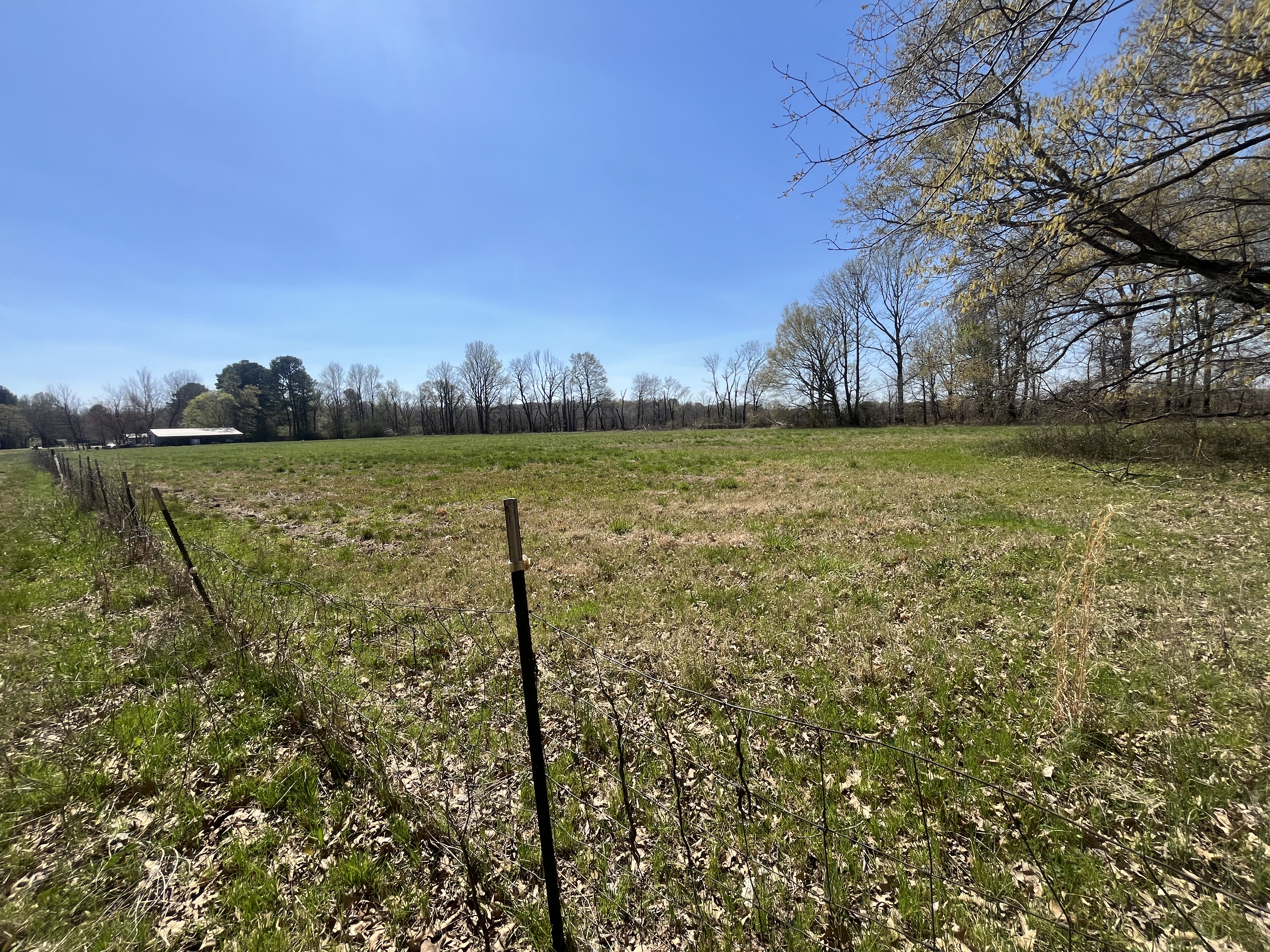 Real Estate & Personal Property Auction Image