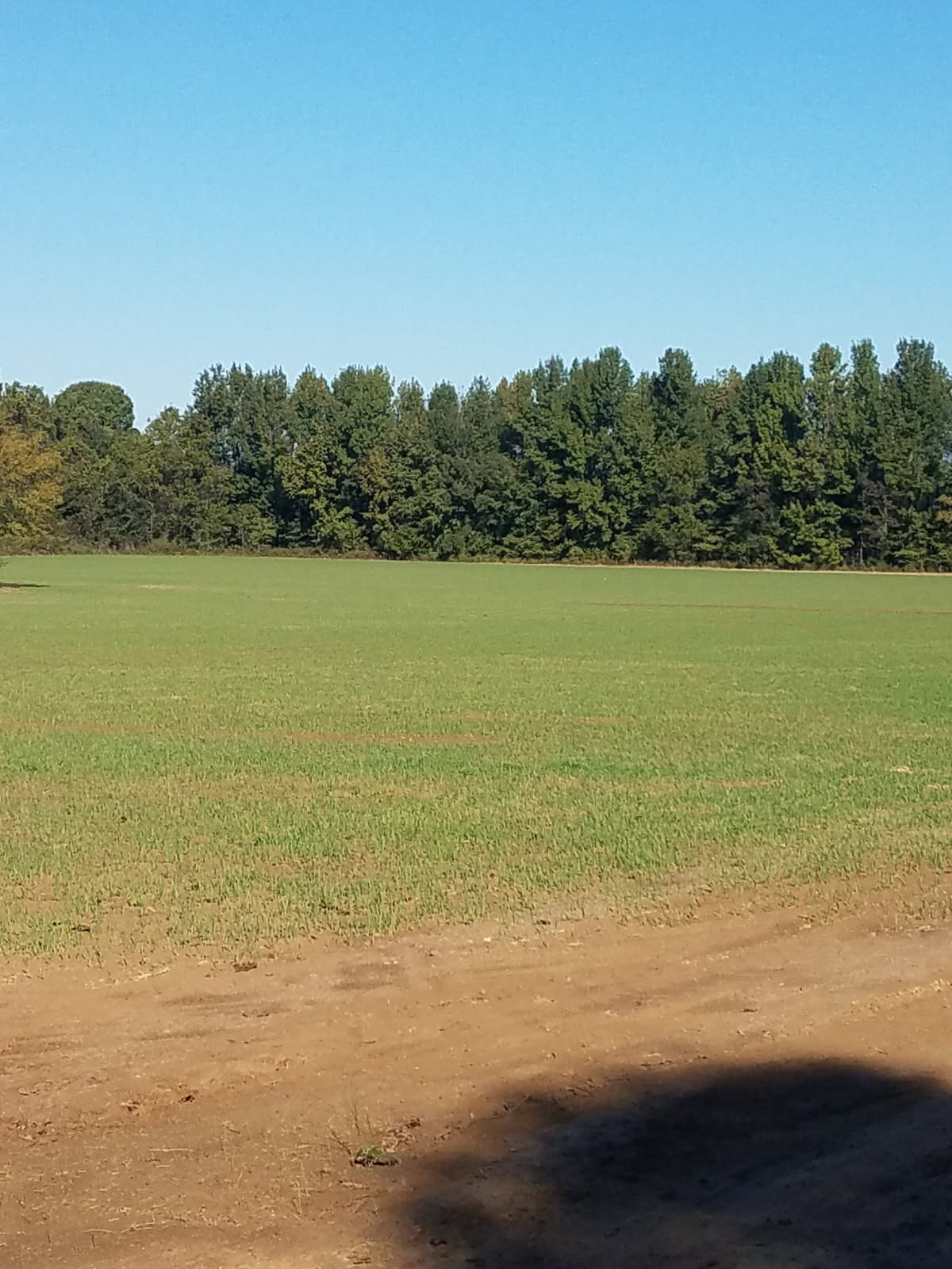 Pasture, Hay, Timber, Row Crop, Hunting Land Auction Image