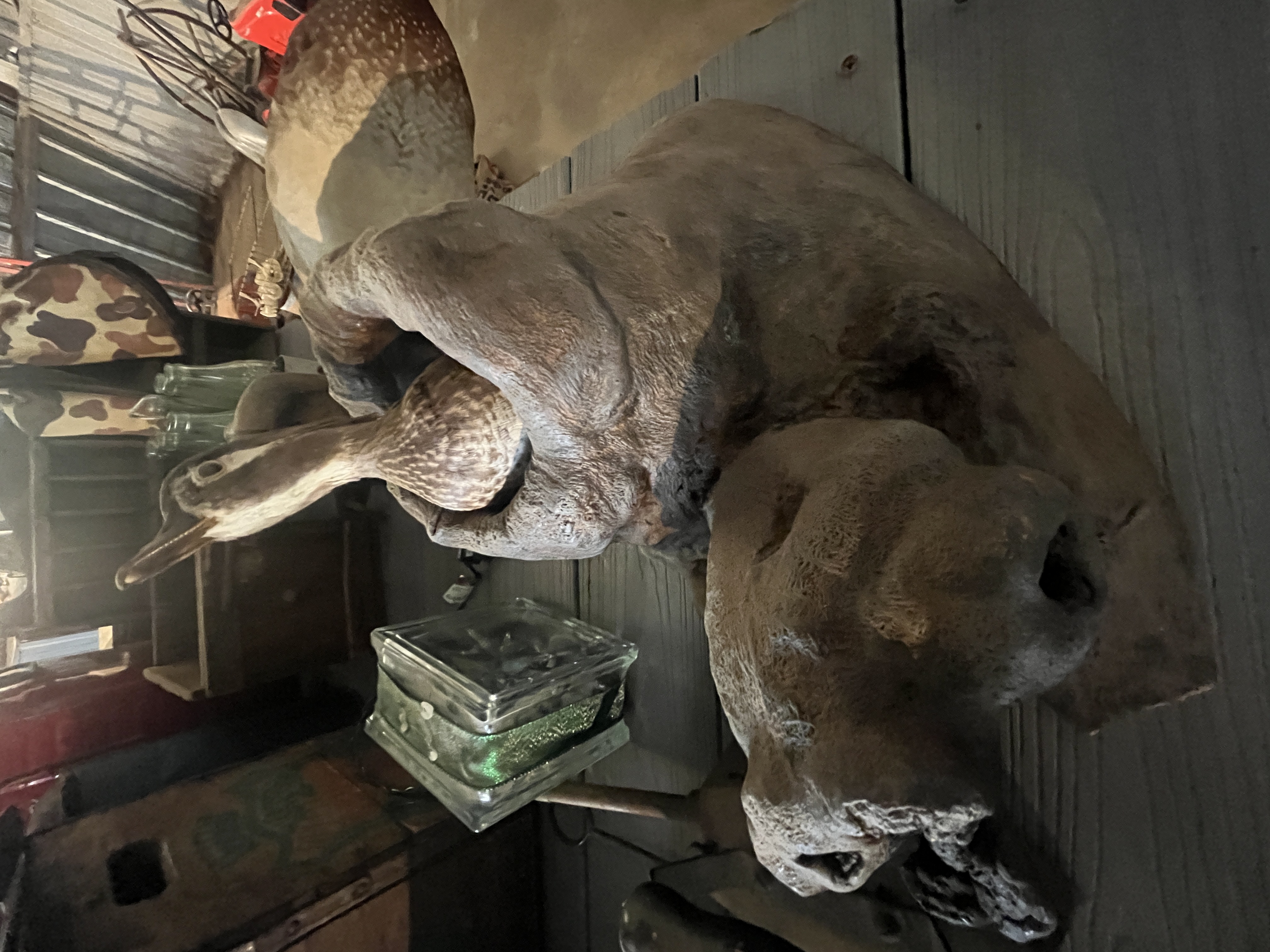 Collector's Dream Auction Image