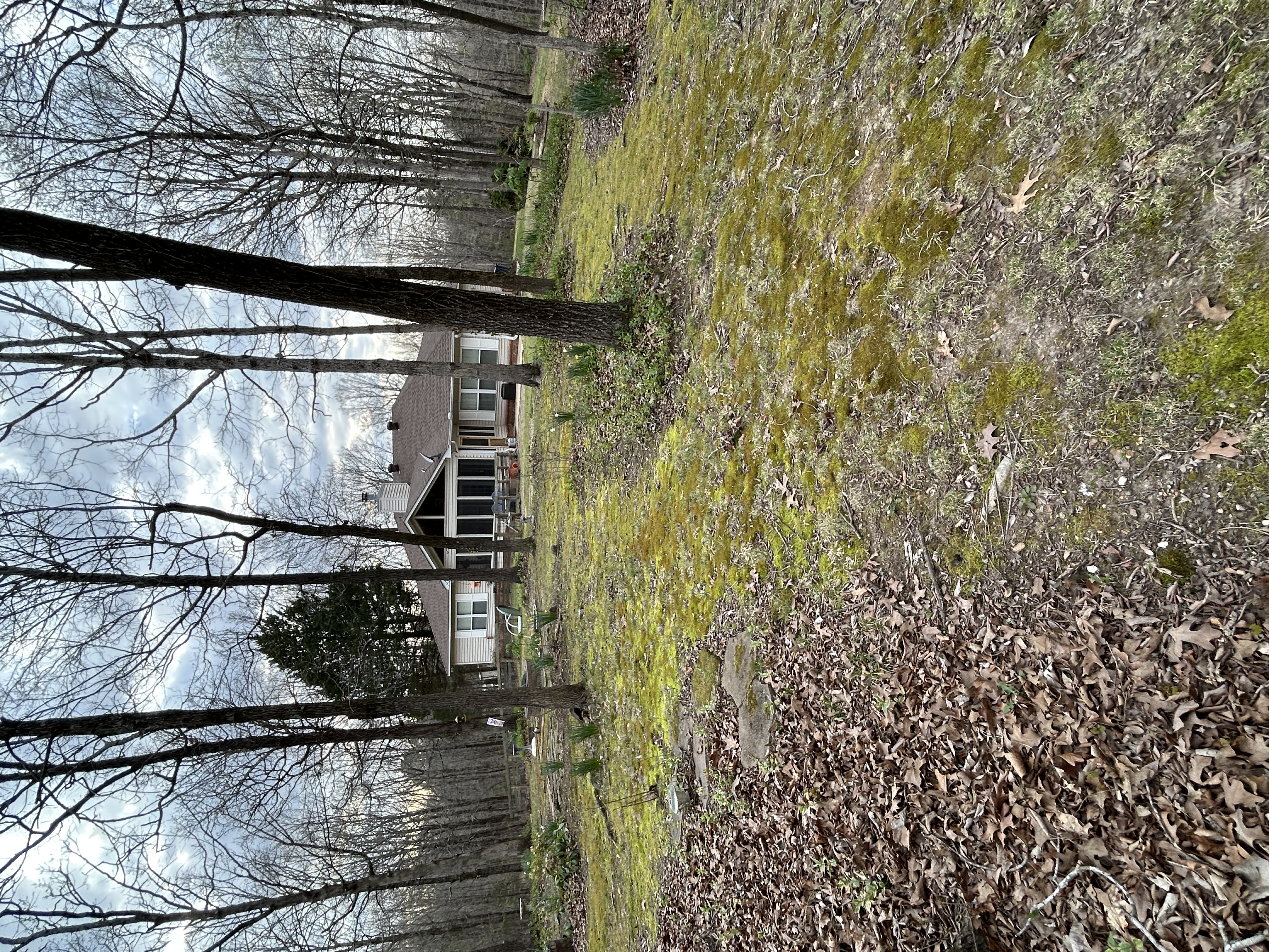 Real Estate & Personal Property Auction Image