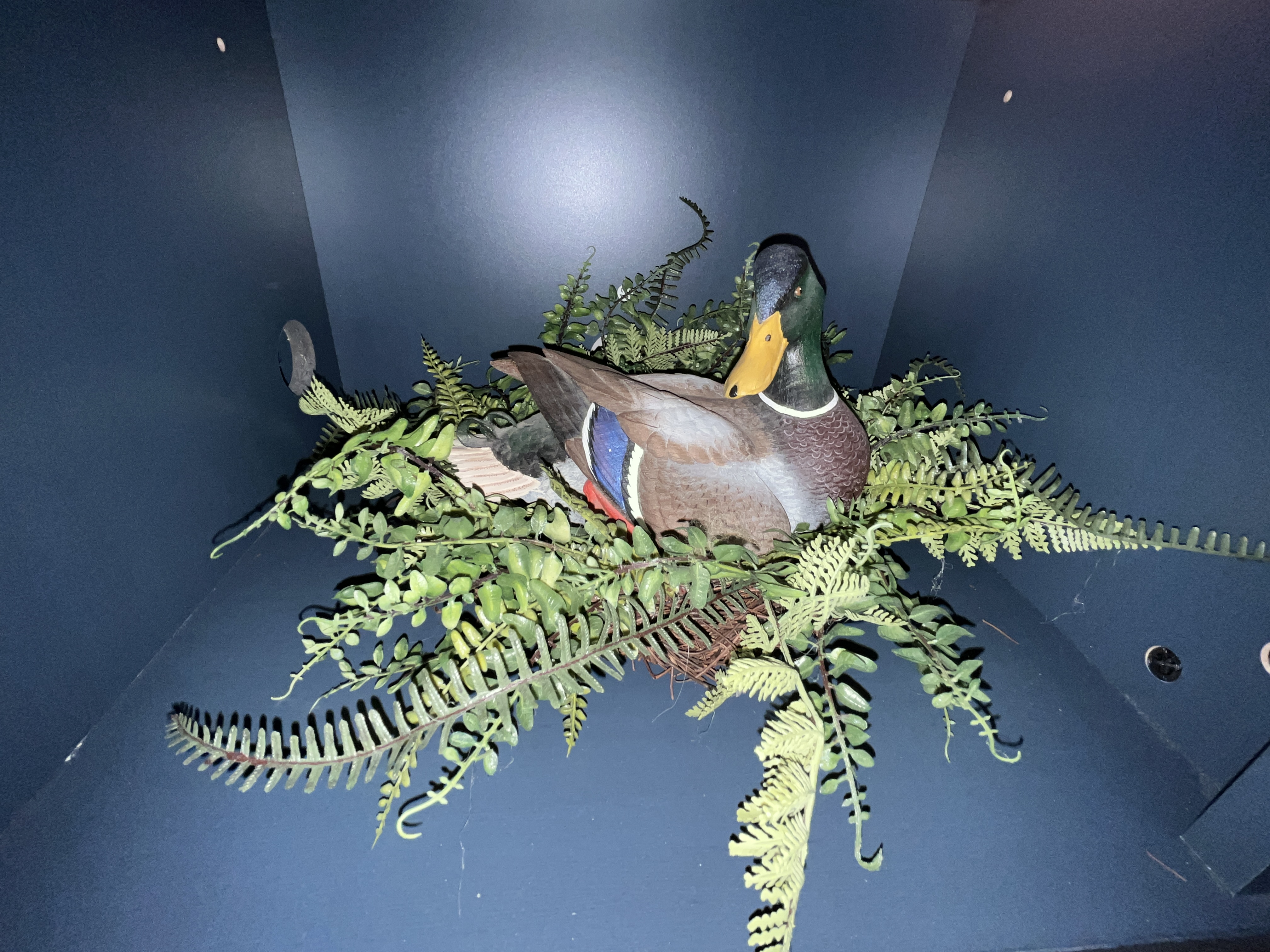 Moving Auction Image