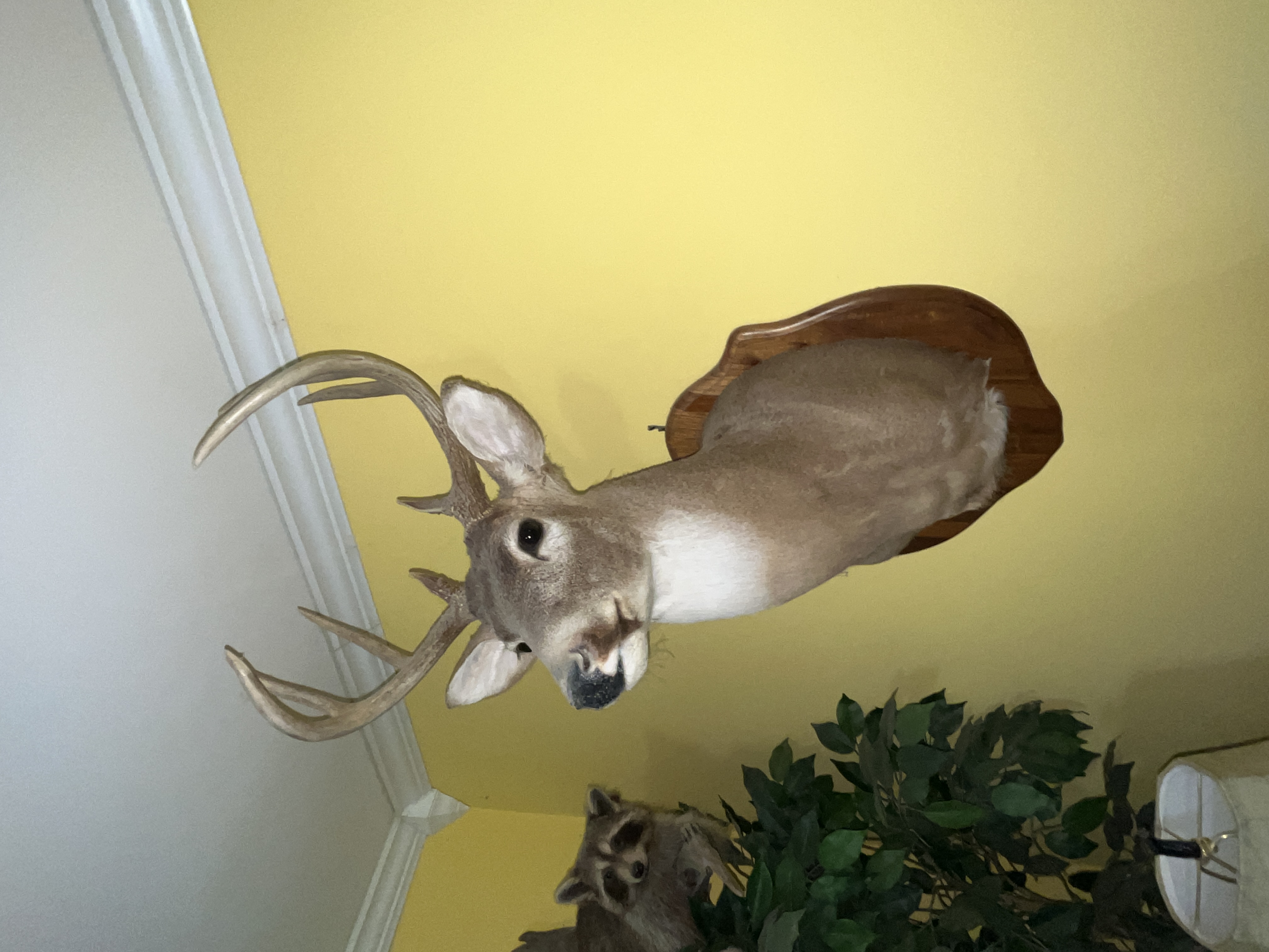 Real Estate & Personal Property Auction - McClaran Estate Image