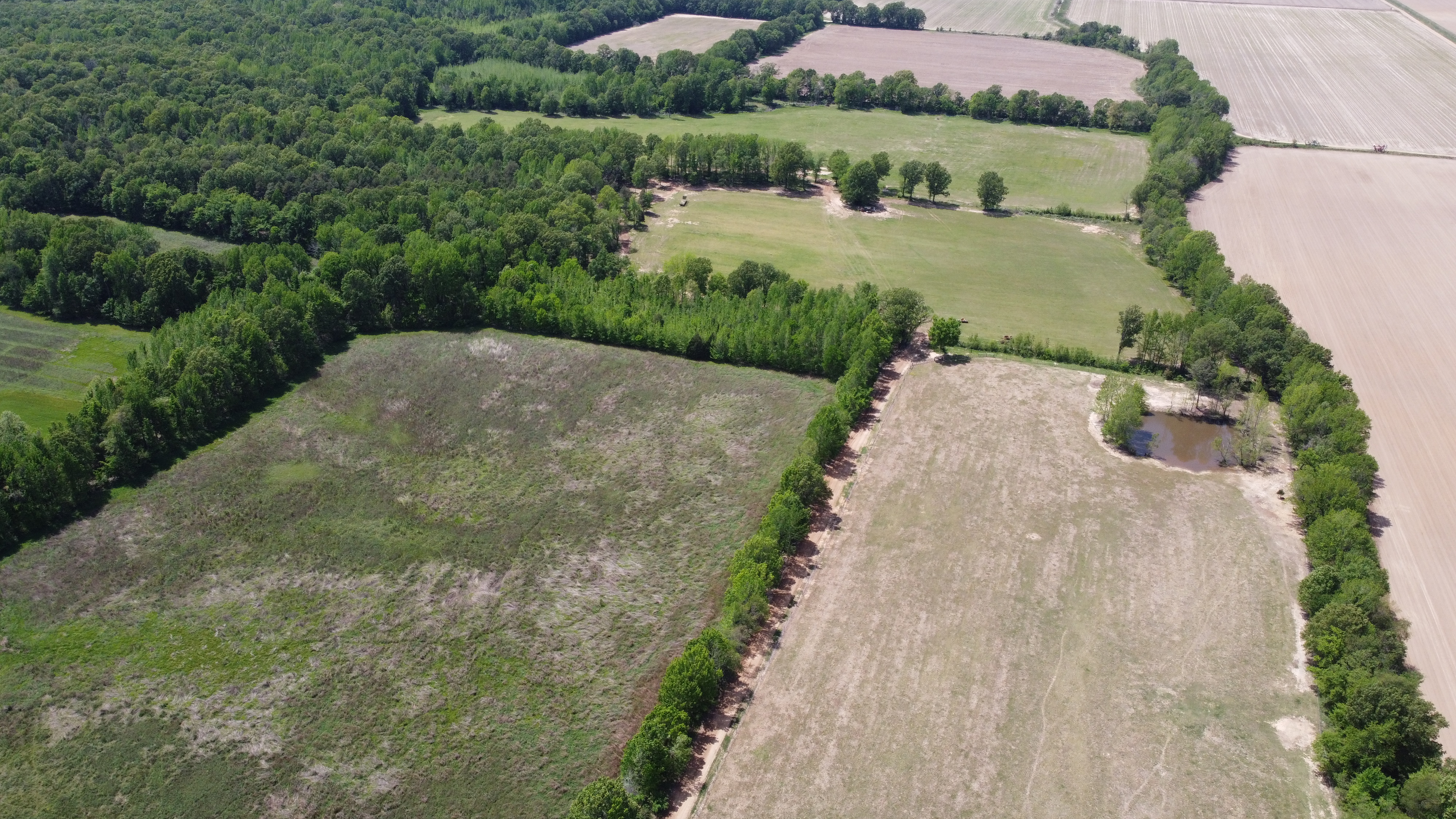 Pasture, Hay, Timber, Row Crop, Hunting Land Auction Image