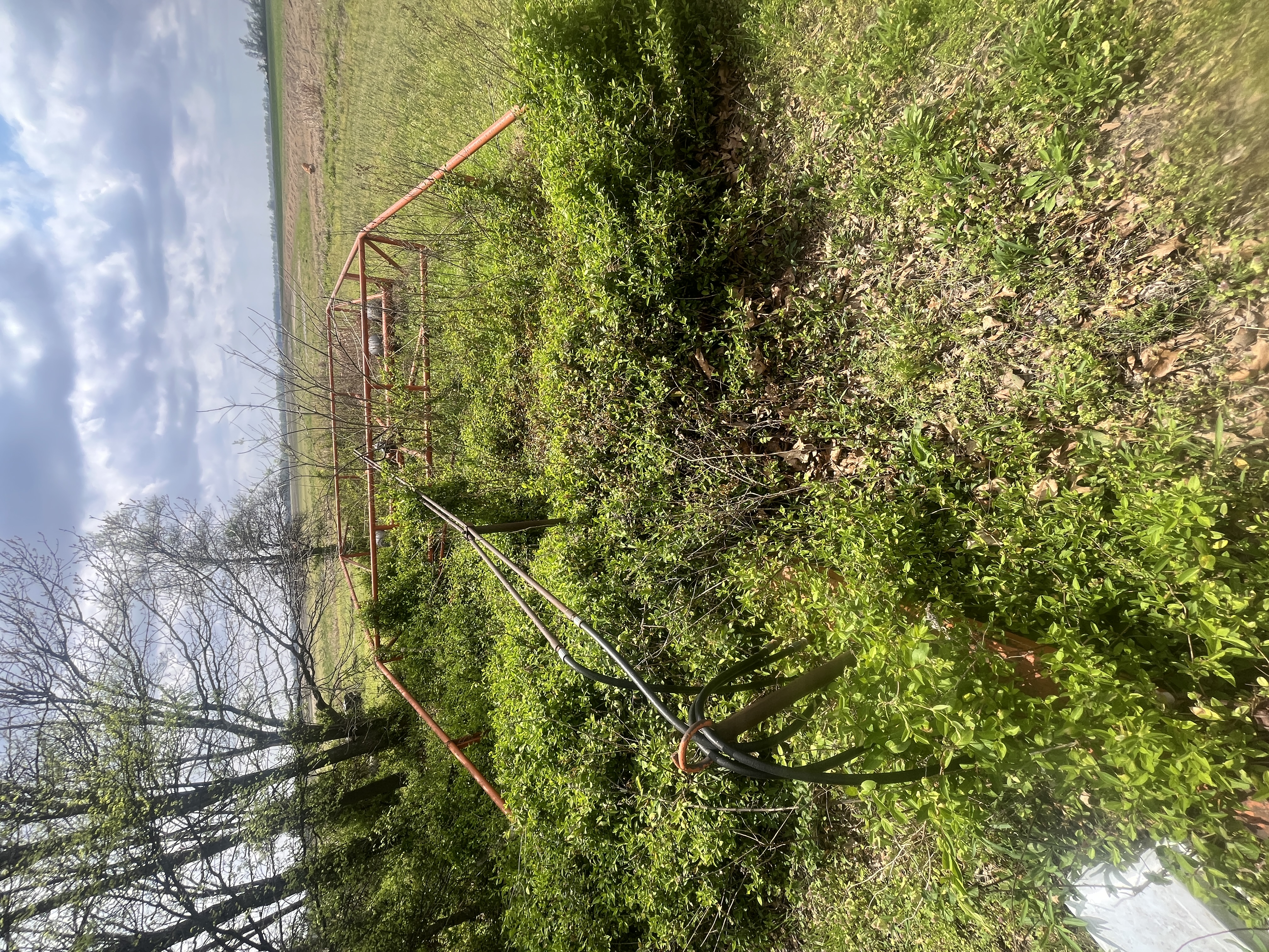 Retirement Farm Equipment Auction Image