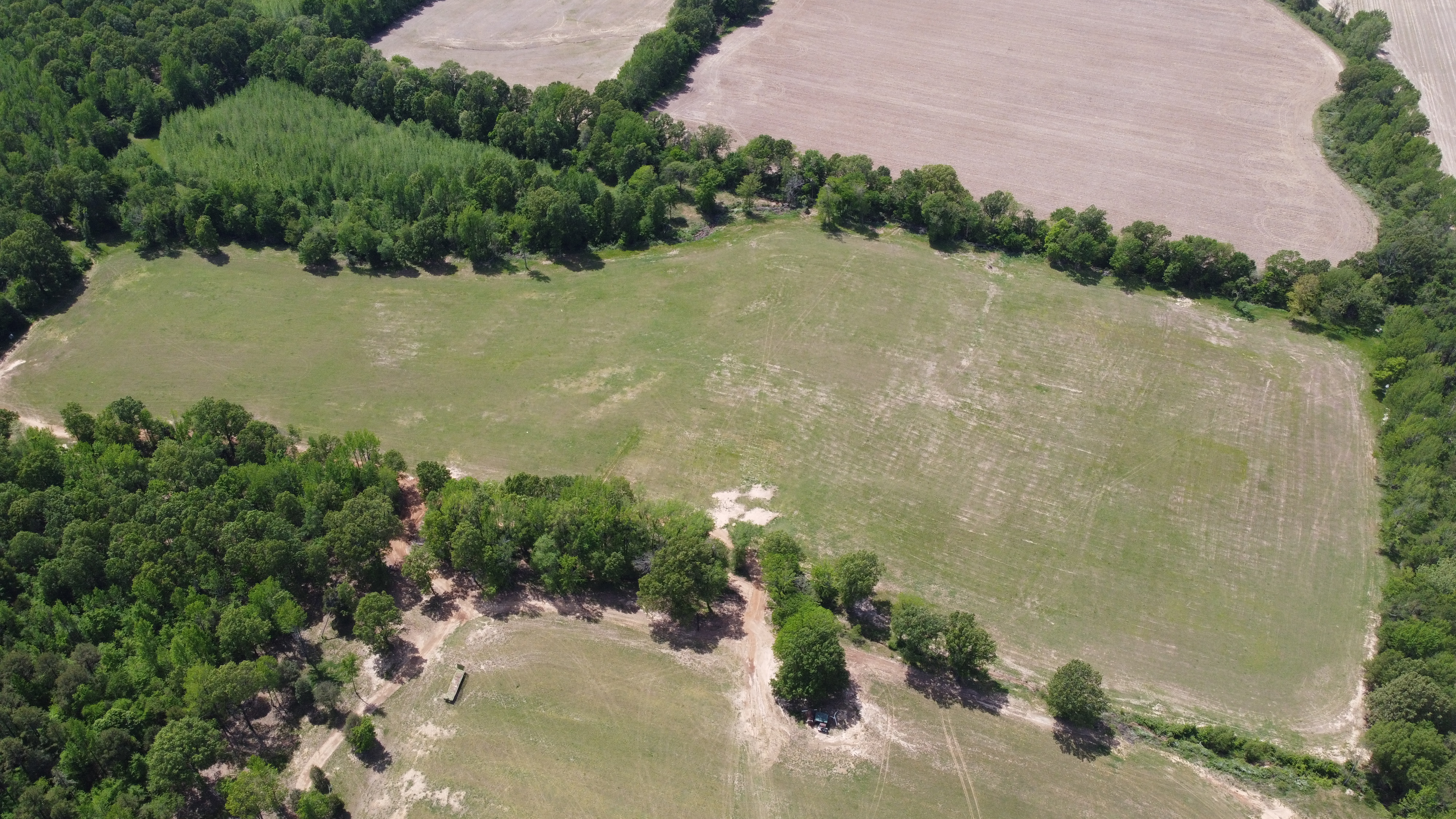 Pasture, Hay, Timber, Row Crop, Hunting Land Auction Image