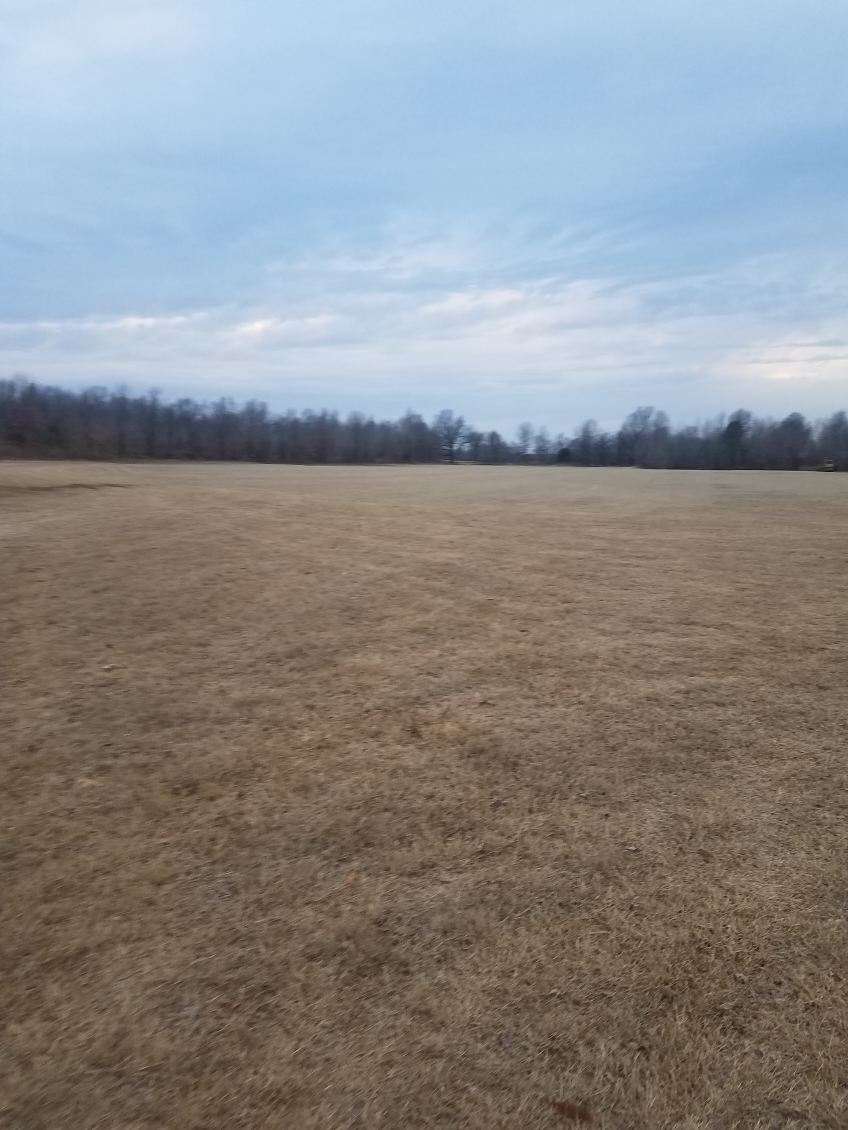 Pasture, Hay, Timber, Row Crop, Hunting Land Auction Image