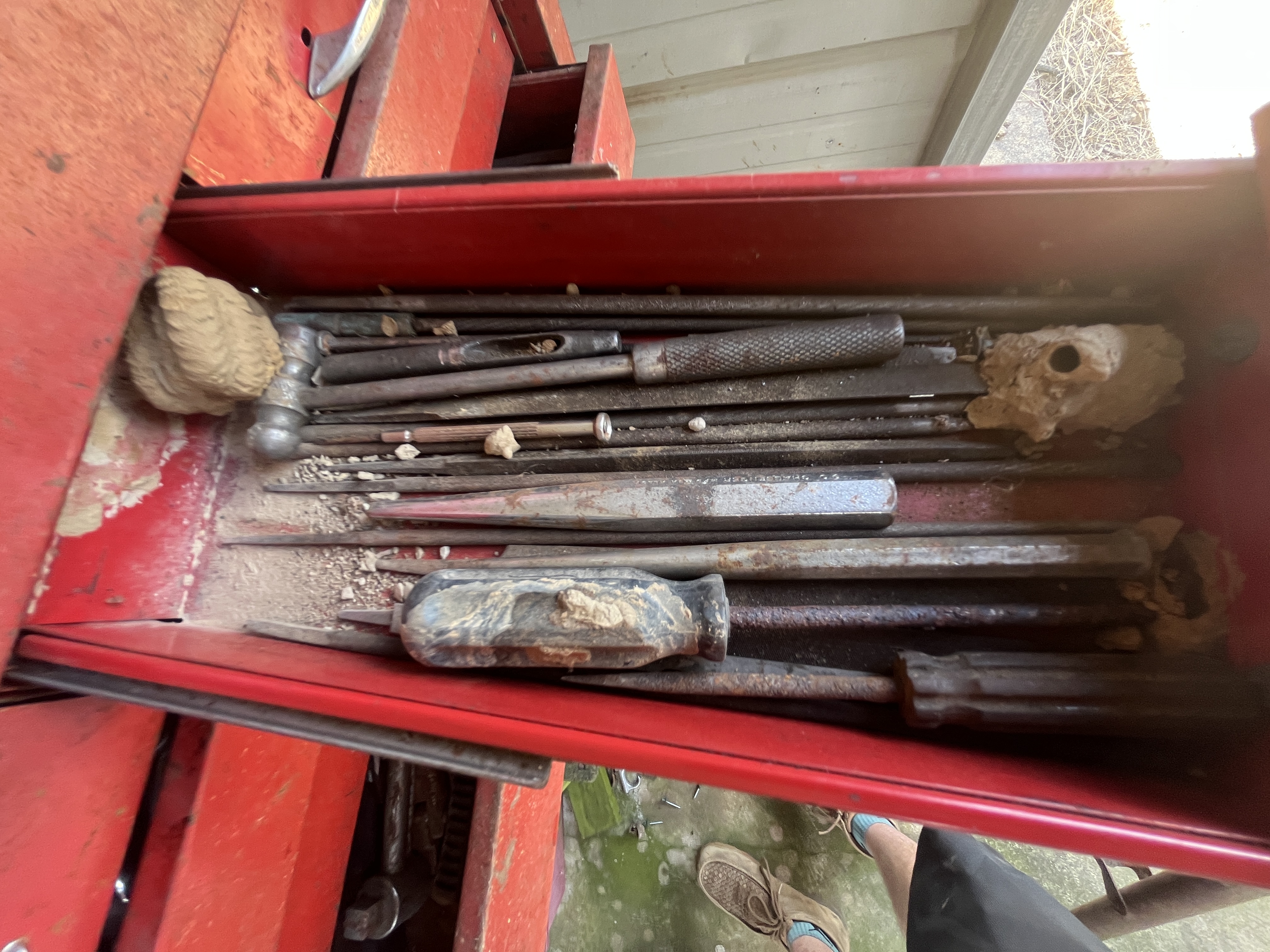 Ward Estate Auction Image