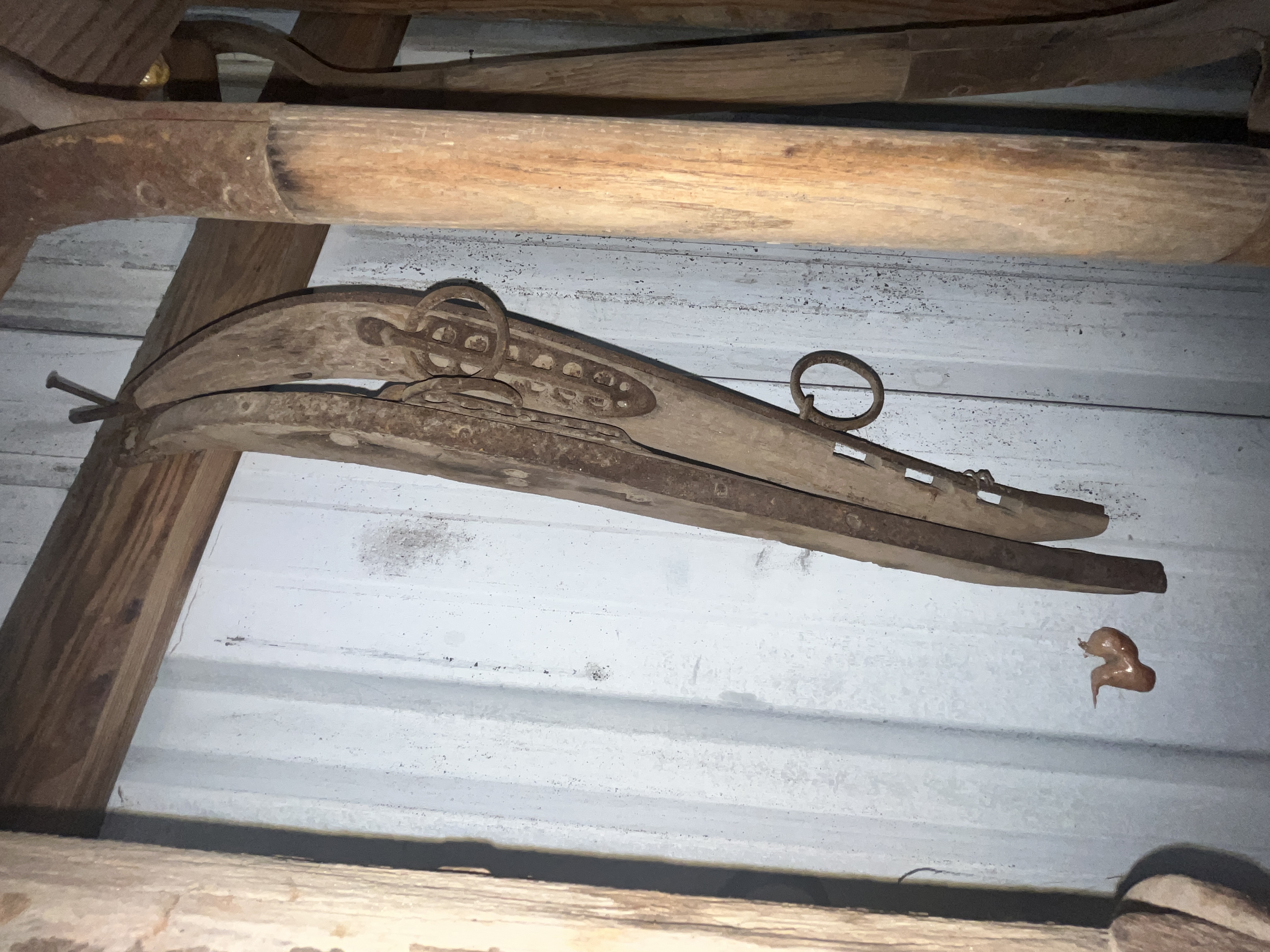 Collector's Dream Auction Image