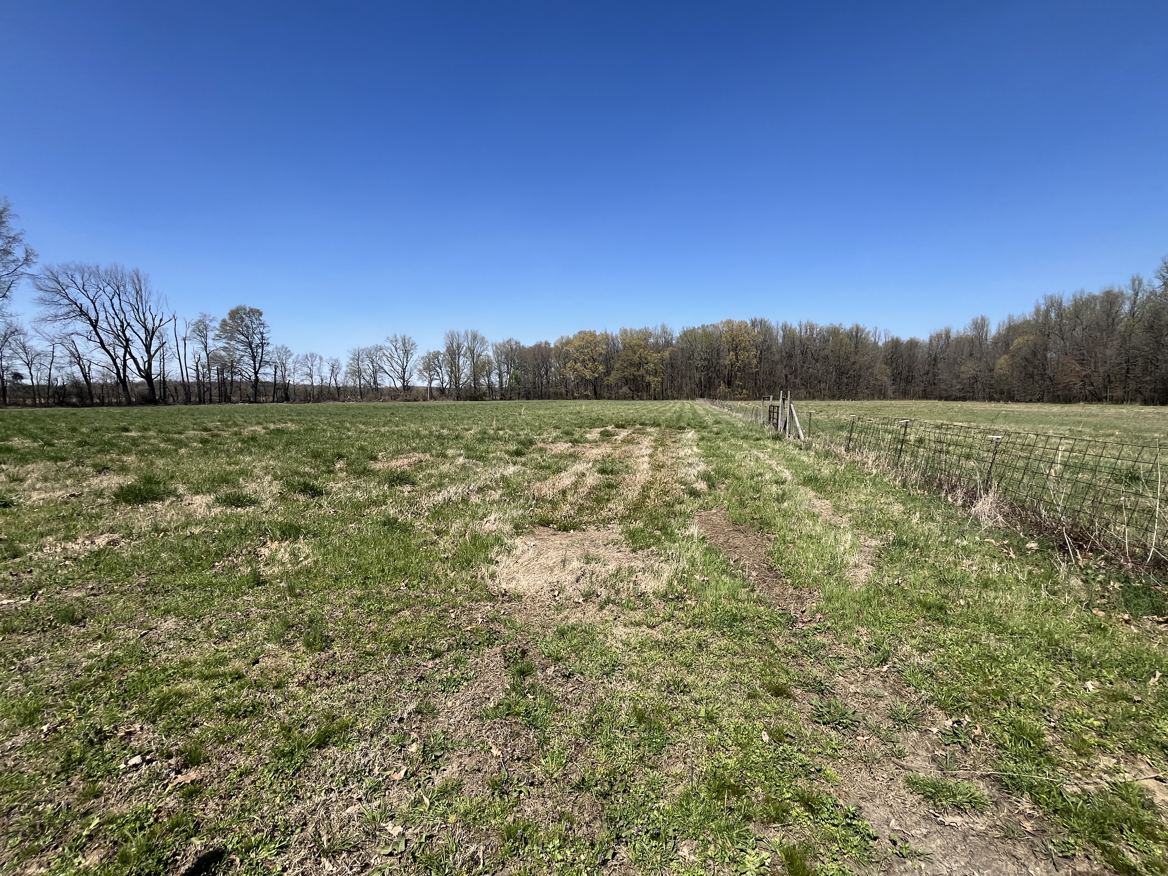 Real Estate & Personal Property Auction Image