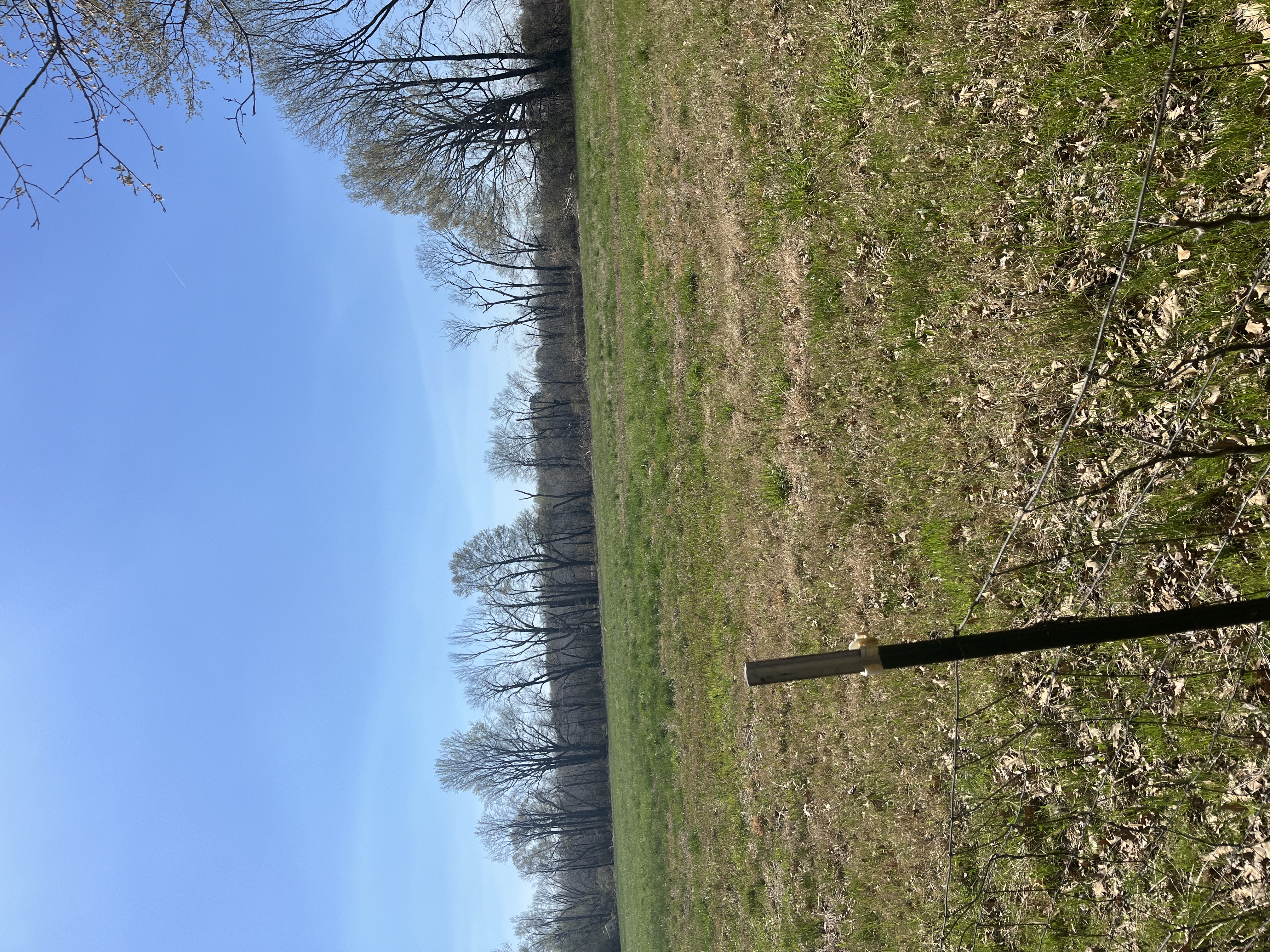 Real Estate & Personal Property Auction Image