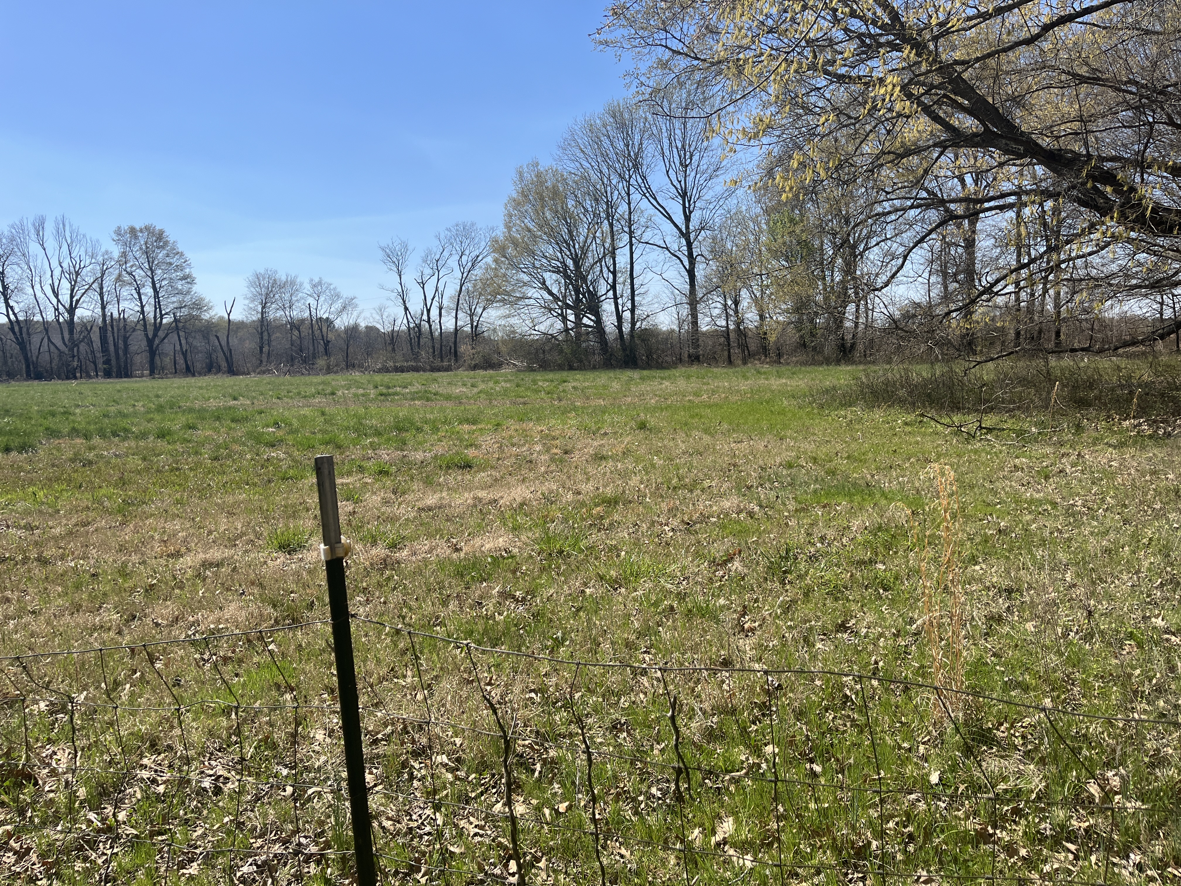 Real Estate & Personal Property Auction Image